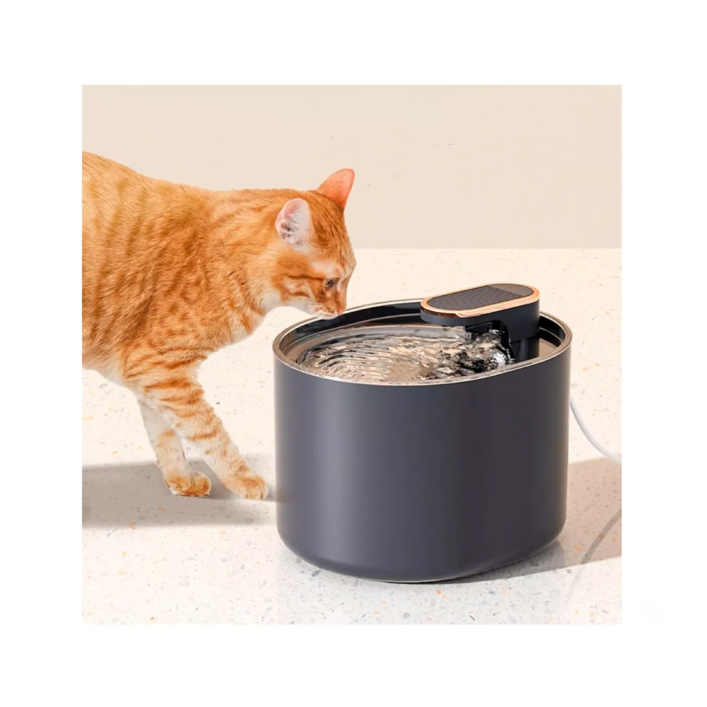 Dispensador de agua para Mascotas