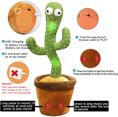 Cactus bailarín