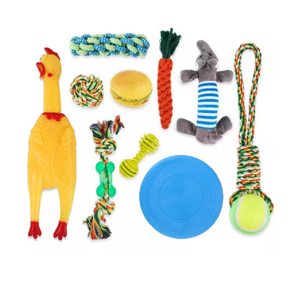 Set 10 Juguetes para Mascotas