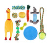 Set 10 Juguetes para Mascotas QDS by Importadora Elizalde SpA