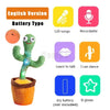 Cactus bailarín QDS by Importadora Elizalde SpA